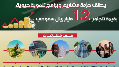 مشاريع برنامج تنمية اليمن - حضرموت