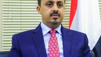 الارياني يدين اختطاف مليشيا الحوثي أحد موظفي المفوضية السامية لحقوق الإنسان في اليمن