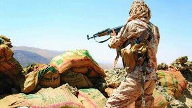شبوة.. القوات الحكومية تتصدى لهجوم شنته مليشيا الحوثي باتجاه مديرية بيحان