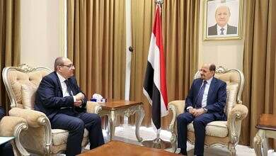 وزير الخارجية يلتقي السفير المصري