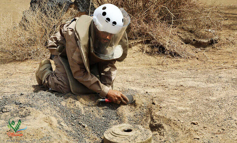 الحديدة.. مقتل طفلة بانفجار لغم حوثي أثناء رعي الماشية